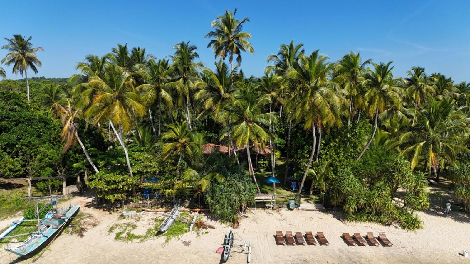 فندق Esperanza Beach Mawella تانجالي المظهر الخارجي الصورة